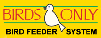 Buy Bears Only Feeder Online